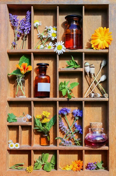 medicinal plants and medicine bottles