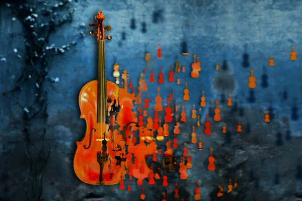 Violino Fundo Preto — Fotografia de Stock