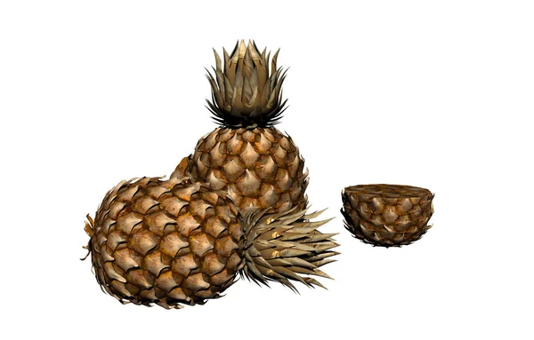 Ananas Miskou Uvolněné — Stock fotografie