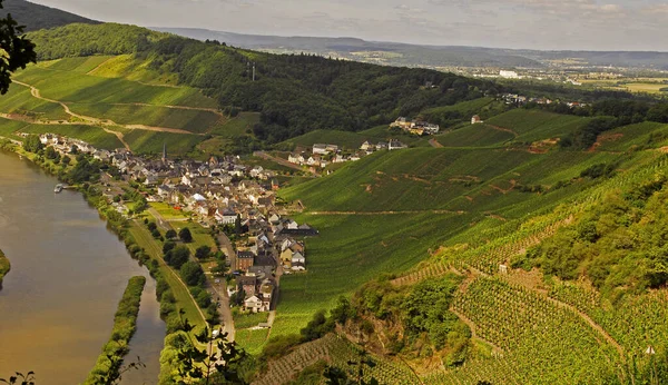 Moselle Est Une Rivière Qui Traverse France Luxembourg Allemagne — Photo