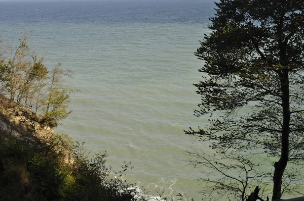 Ostsee Sommer Mit Bäumen Vordergrund — Stockfoto