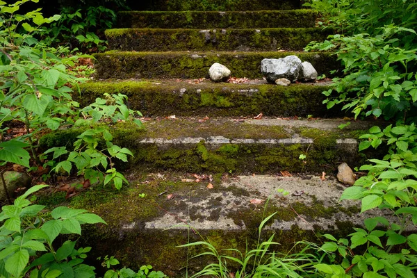 Σκάλες Κατάφυτες Βρύα Και Κατάφυτες Πέτρες Και Πράσινα Φυτά — Φωτογραφία Αρχείου