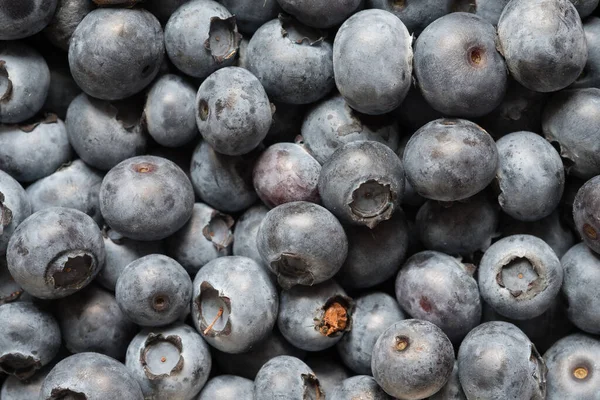 Closeup Fresh Healthy Blueberries — Stock Photo, Image