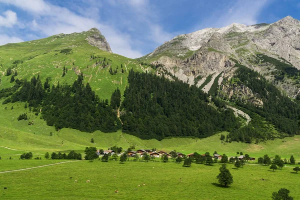 Tyrol Destination Excursion Zone Randonnée Animaux Vaches Montagnes Karwendel Engalmen — Photo