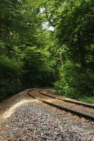 Rails Wooded Area Which Disappear Right Hander — Stock Photo, Image