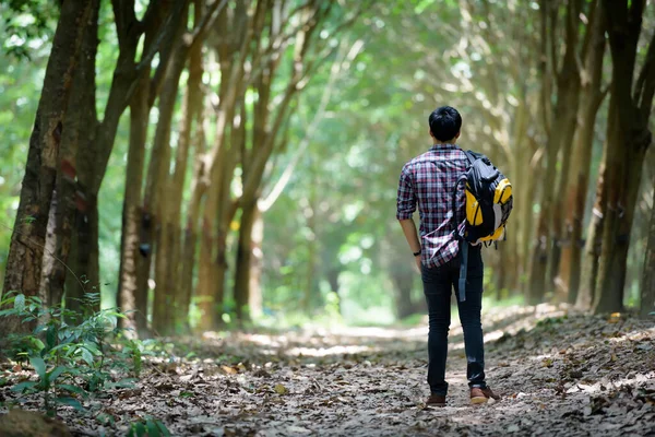 在橡胶园的背景下快乐的亚洲男人背包 旅行和假日概念 — 图库照片