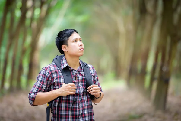 Happy Asian Man Backpack Fondo Plantación Caucho Concepto Viaje Vacaciones — Foto de Stock