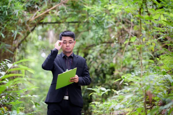 Plant researchers are checking the paper in a forest.