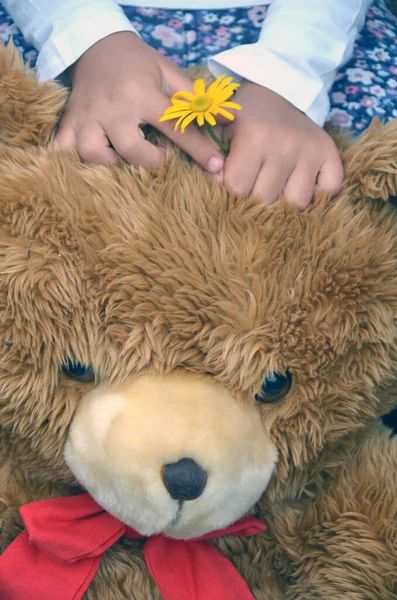 Kind Hat Die Hände Auf Dem Kopf Eines Teddybären — Stockfoto