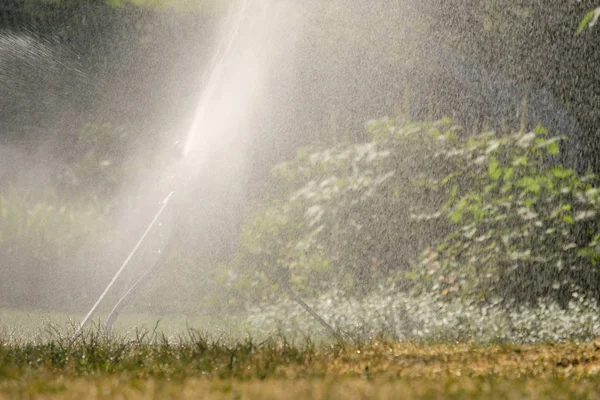 Irrigatore Prato Come Irrigatore Impulso Con Acqua Nella Retroilluminazione Prato — Foto Stock