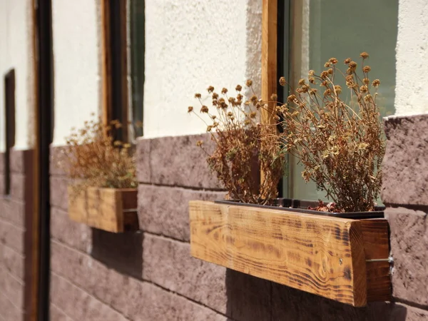 Dode Droge Verwelkte Bloemen Houten Venster Doos Muur — Stockfoto