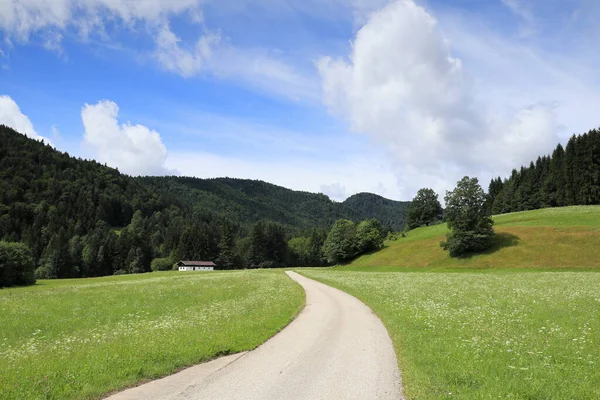 Route Dans Paysage Naturel Avec Pâturage Alpin — Photo