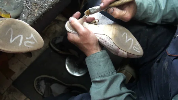 Sapateiro Trabalho Processo Reparação Sapatos Oficina — Fotografia de Stock