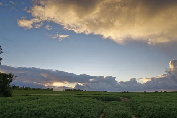 Večerní Mraky Obloze Atmosféra — Stock fotografie