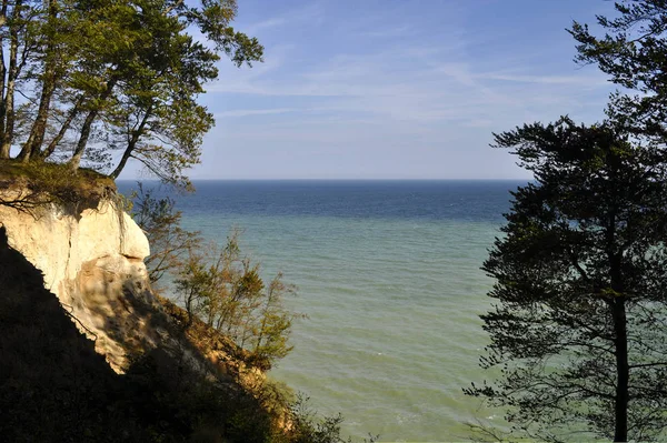 Panoráma Baltikum Tengerre Meredek Tengerparttal Fákkal — Stock Fotó