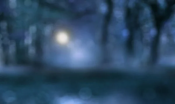 Dunkle Mystische Landschaft Wald Mit Mondlicht Für Das Konzept Des — Stockfoto