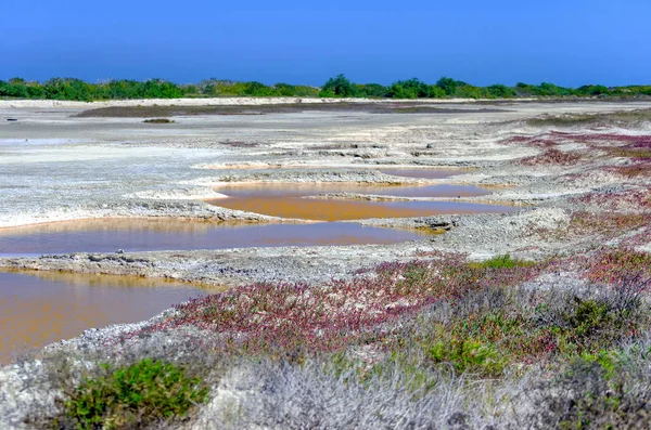 Vista Área Com Pequenas Piscinas Sal Rio Lagartos Península Yucatan — Fotografia de Stock