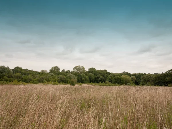 Campo Vuoto All Esterno Con Erba Dorata Cielo — Foto Stock