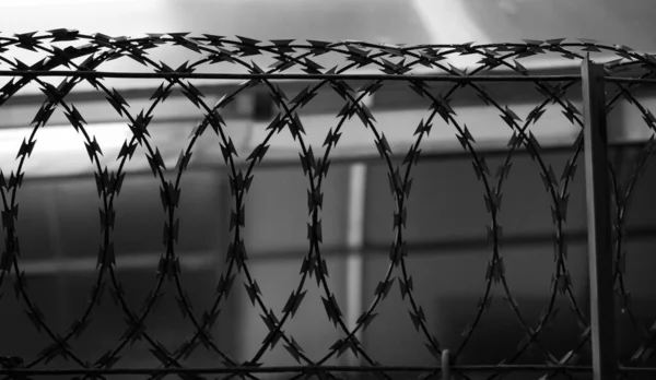 Foto Preto Branco Silhouette Metal Razor Wire Fencing — Fotografia de Stock