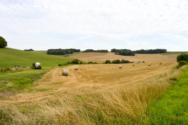 Zicht Een Veld Van Balen Van Stro Bosjes Onder Een — Stockfoto