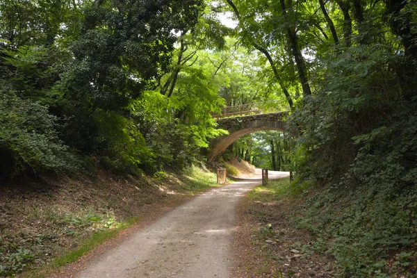 Carril Bici Dolce Vía Ardeche —  Fotos de Stock