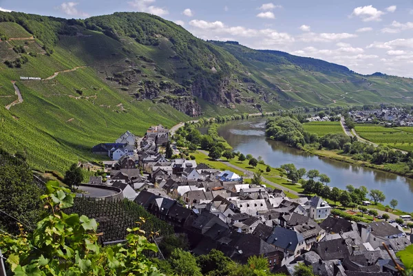 Landsliv Selektivt Fokus — Stockfoto