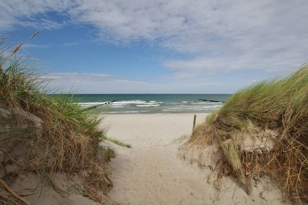 迪尔哈根和伍斯特罗之间的海滩交叉口 半岛峡湾 波罗的海 米克伦堡 涡旋石门 — 图库照片