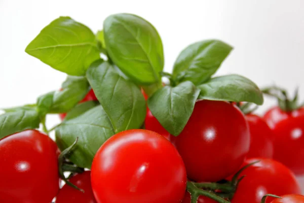 Tomatoes Basil White Background — Zdjęcie stockowe