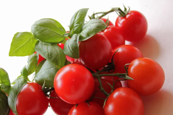 Tomatoes Basil White Background — Zdjęcie stockowe