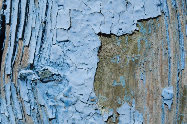 Textura Modrá Barva Oloupat Dřeva — Stock fotografie
