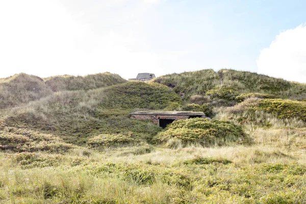 Scenic View Dunes Selective Focus — Stock Photo, Image