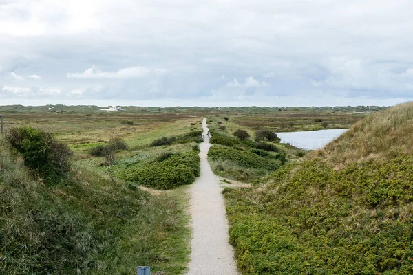 Scenic View Dunes Selective Focus — Stock Photo, Image