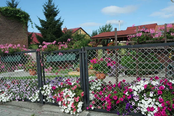 Doğanın Güzel Manzarası — Stok fotoğraf