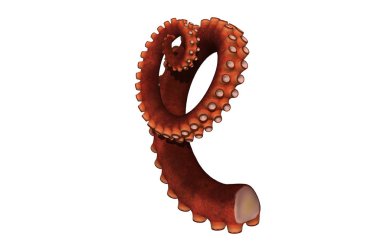 tentacle of an octopus with suckers clipart