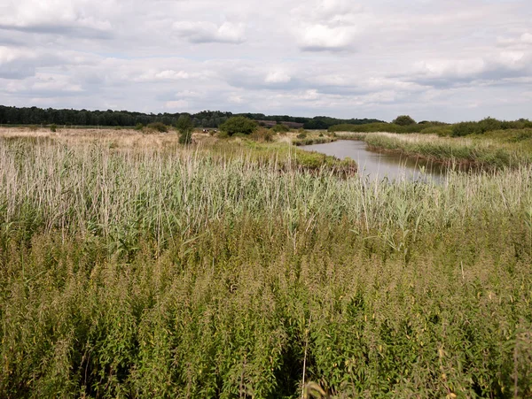 Flod Som Rinner Genom Gräsmark Land Promenad Bedövning Sett Över — Stockfoto