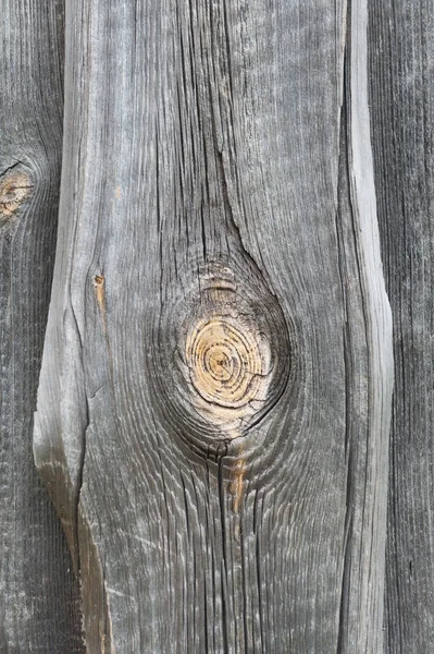 Białe Drewno Dużym Otworem — Zdjęcie stockowe
