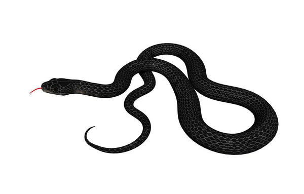 Опасная Змея Гадюка — стоковое фото
