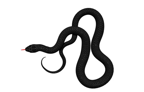 危险的蛇 毒蛇动物 — 图库照片