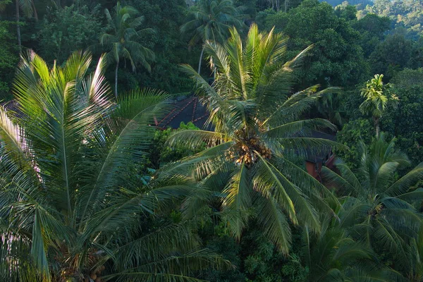 Woonhuis Kandy Sri Lanka — Stockfoto