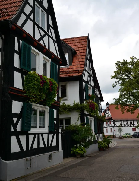 Landsliv Selektivt Fokus — Stockfoto