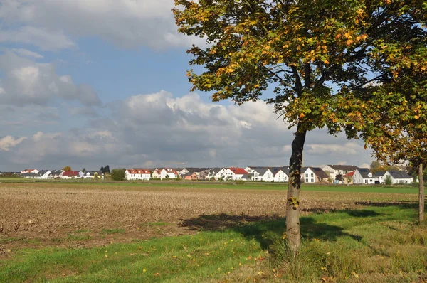 Pole Łąka Drzewo Rurmark Urberach Rurmark Urberach Krajobraz Niebo Chmura — Zdjęcie stockowe