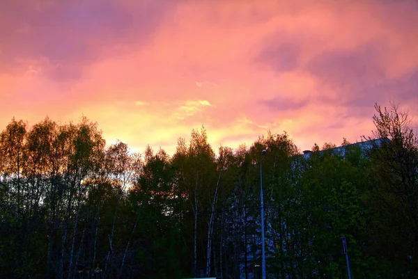 Coucher Soleil Rouge Coloré Printemps Moscou Dans Quartier Zyuzino — Photo