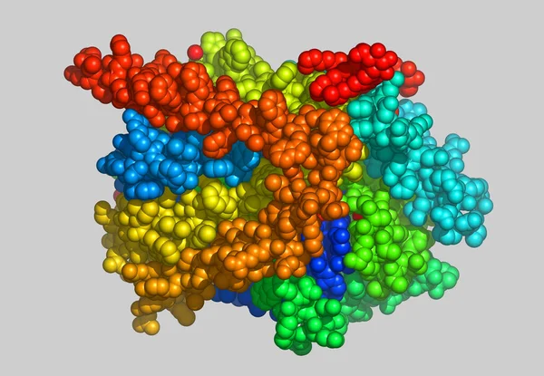 Protein Protein Algae — Stock Photo, Image