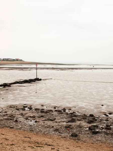 Böjda Havet Scen Pipa Groyne Strand Tång Småsten — Stockfoto