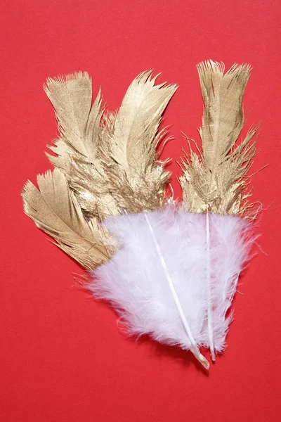 White Feather Painted Half Its Length Red Background Minimal Color — Stock Photo, Image