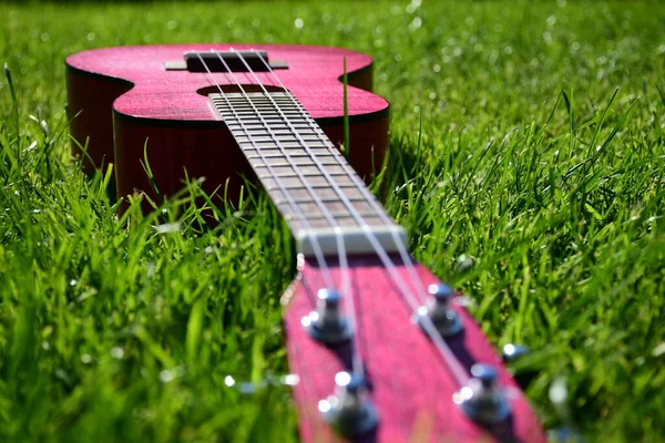 Guitarra Grama Verde — Fotografia de Stock