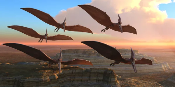 Les Reptiles Pteranodon Élèvent Vol Dessus Canyon Dans Période Ctretaceous — Photo