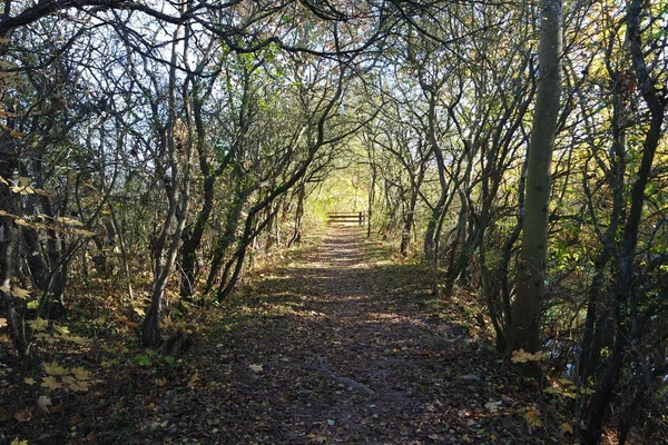 Schöne Aussicht Auf Die Natur — Stockfoto