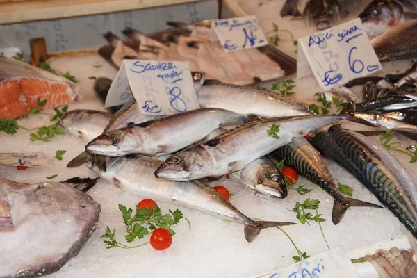 Mercado Você Pode Encontrar Peixes Frutas Legumes Especiarias Abundância Casco — Fotografia de Stock