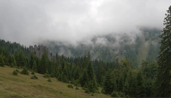 Prado Los Alpes Austríacos Con Clima Nublado — Foto de Stock